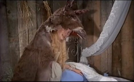 Peau d'âne fait le lit