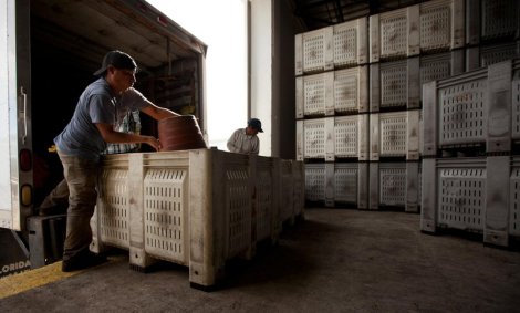 Food Chains de Sanjay Rawal. (c) Screen Media Films