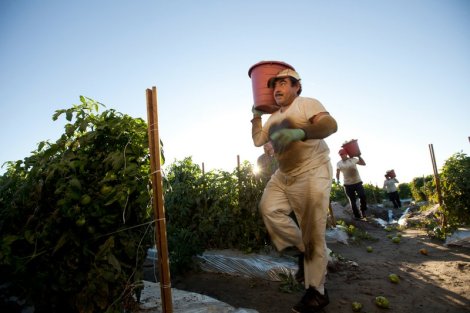 Food Chains,. (c) Screen Media Films